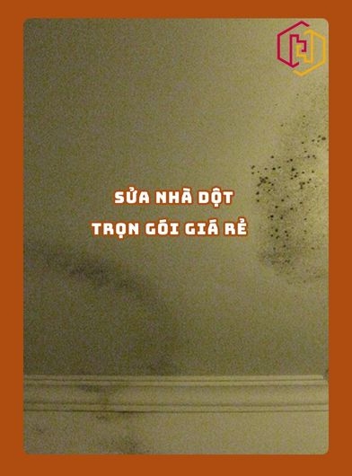 SỬA NHÀ DỘT TRỌN GÓI GIÁ RẺ TPHCM | H2C